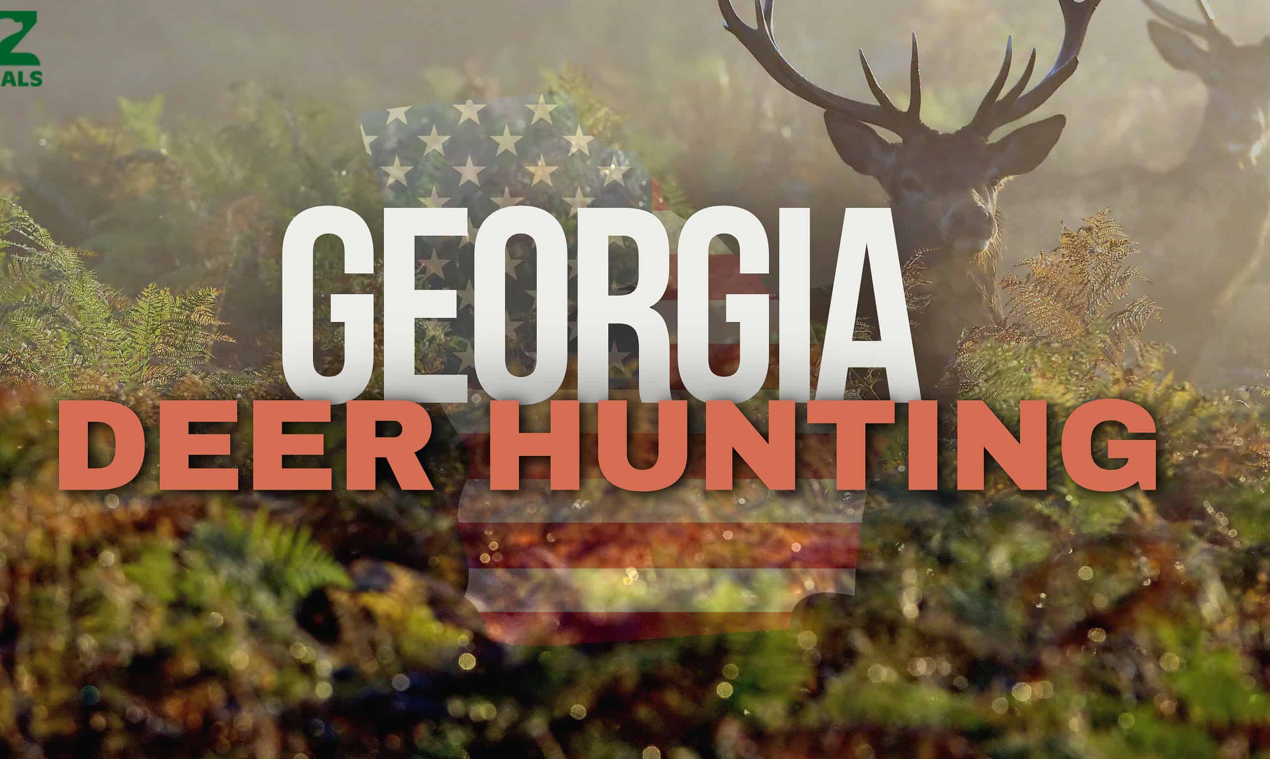 GA Deer Hunting