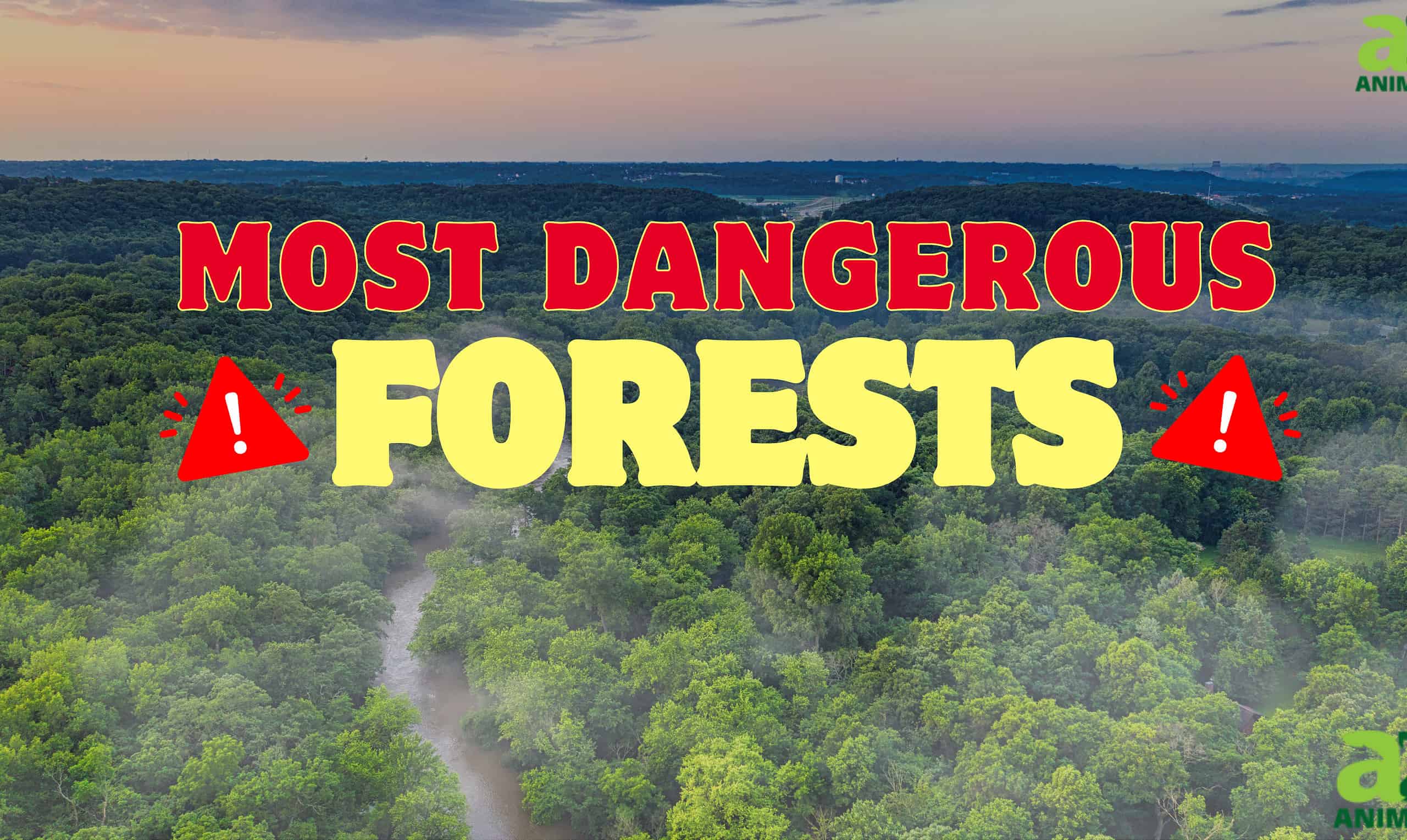 Most Dangerous Forests