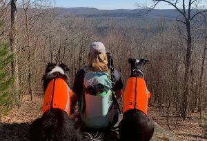 5 Crucial Tips for Dog Hiking Safety During Hunting Season Picture
