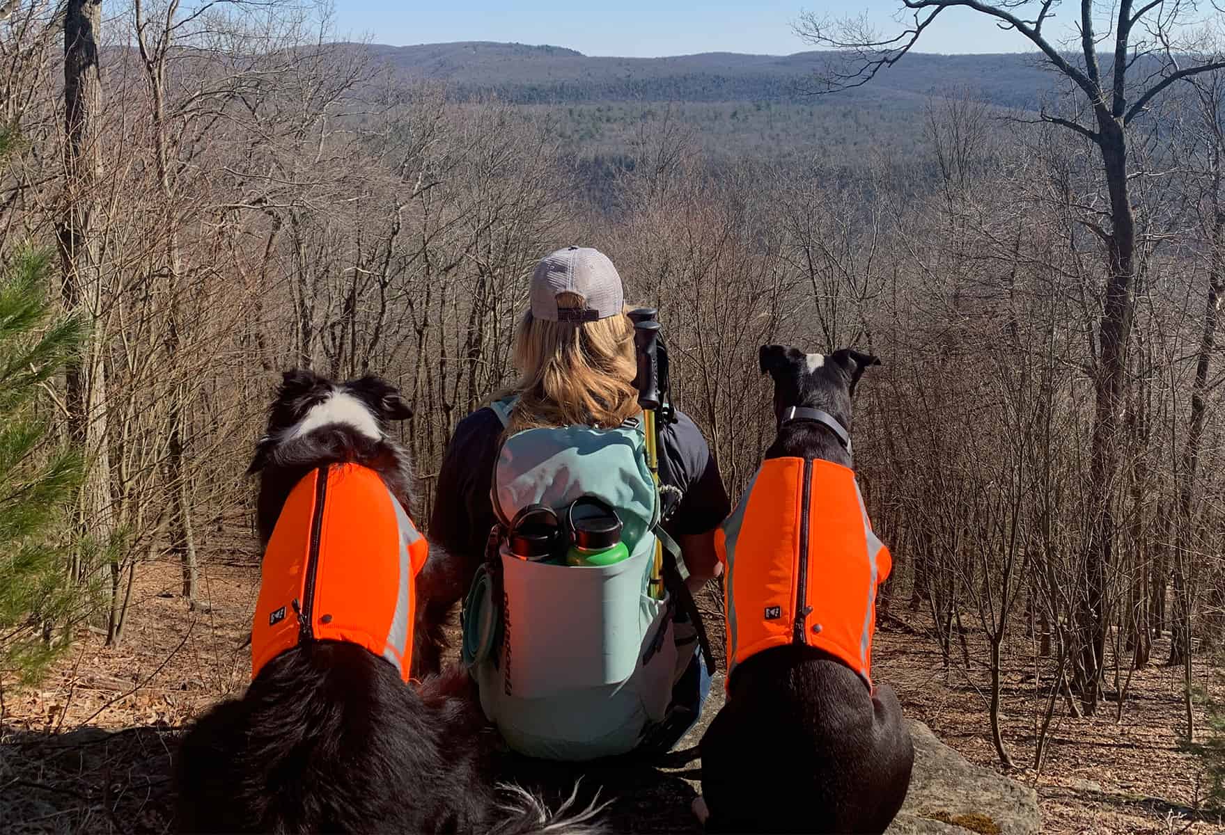 Two dogs and woman take in the views of a fall/winter hike.