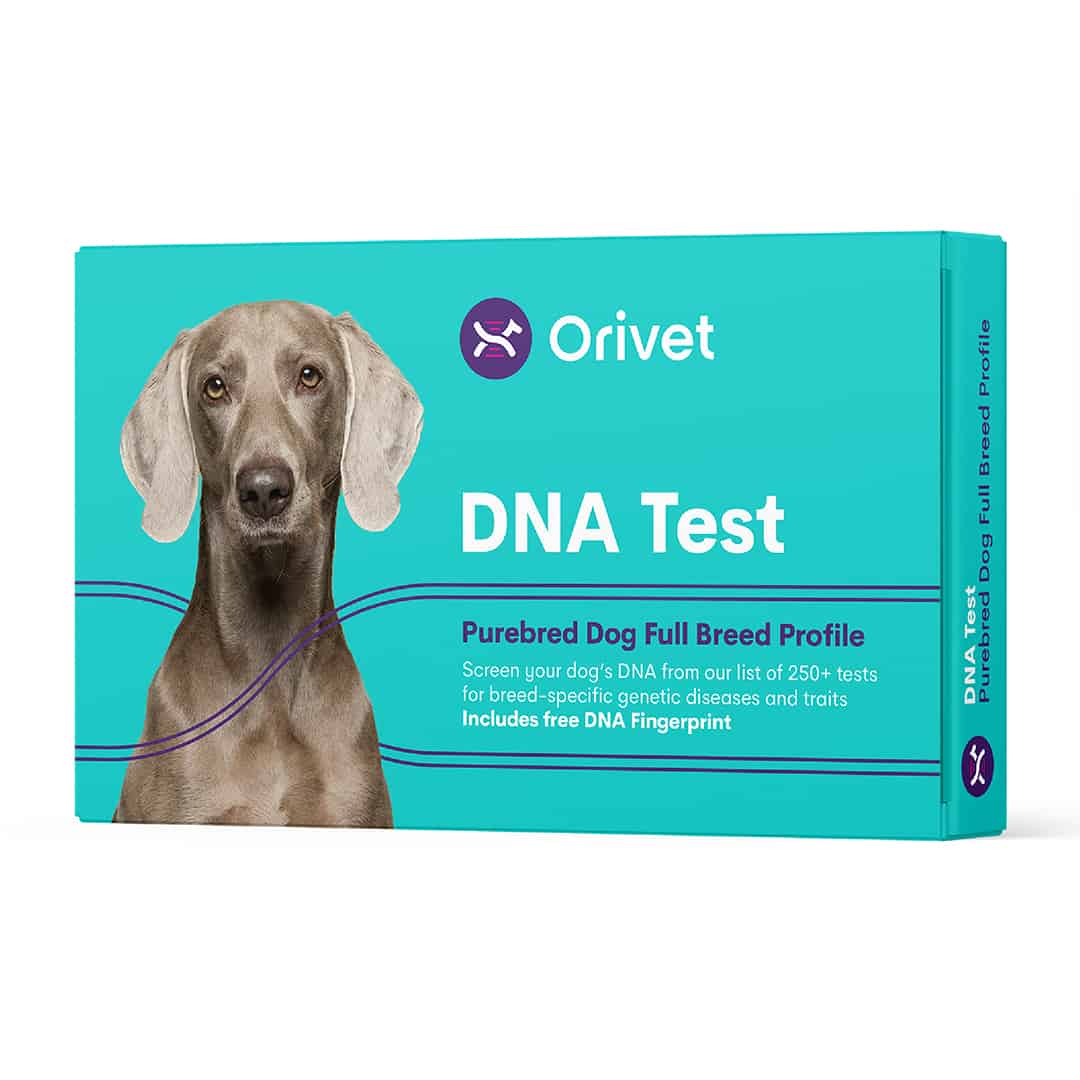 Orivet Full Breed Dog DNA test