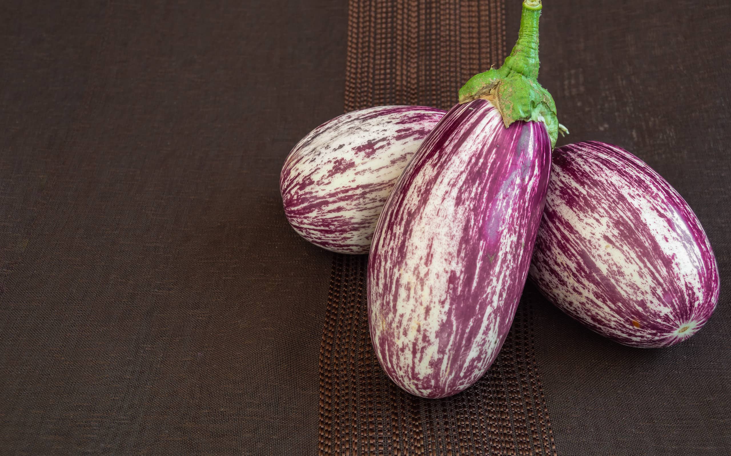 Fresh organic eggplants on dark fabric background. Strange variety of the vegetable called zebra, scratched or sicilian. Copy space left.