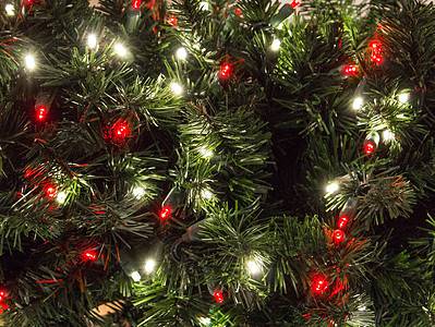 A How Long Does a Christmas Tree Last? 10 Tips for Longer Thriving Trees