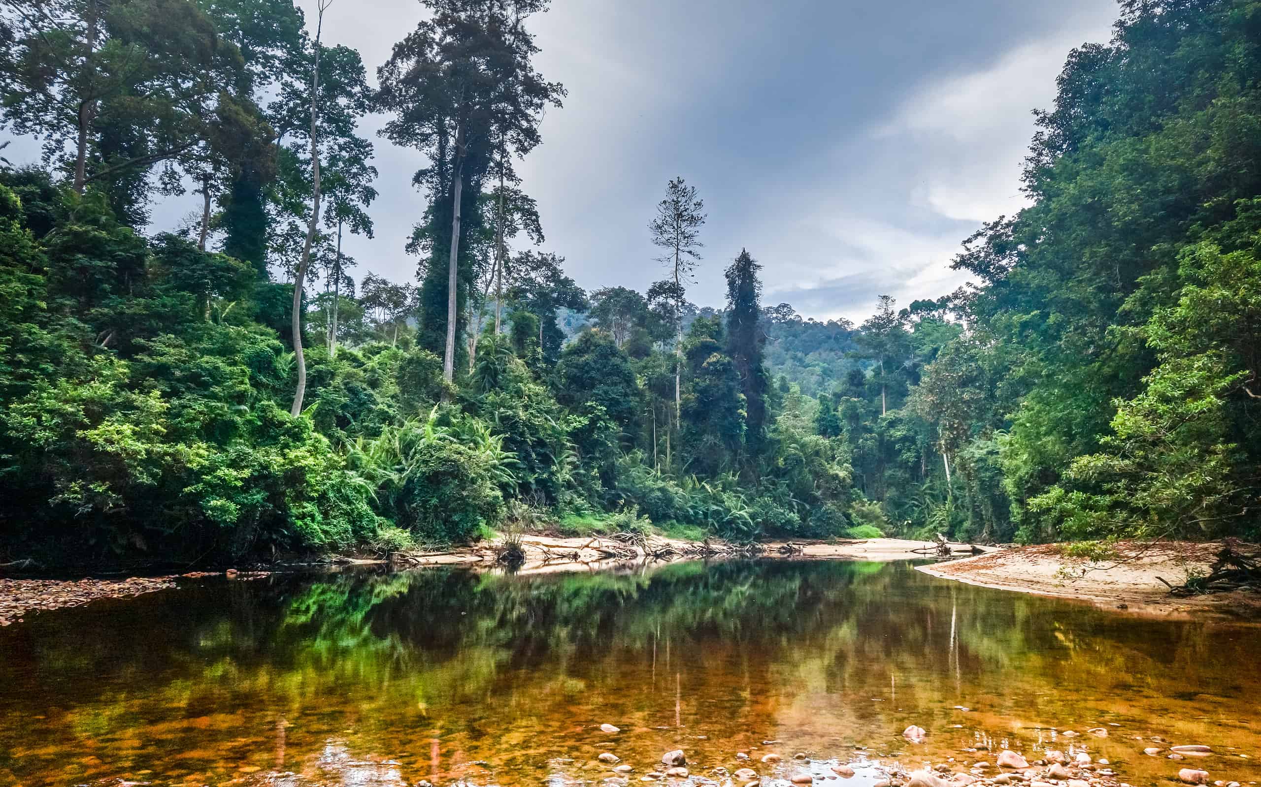 River in Jungle rainforest Taman Negara national park, Malaysia