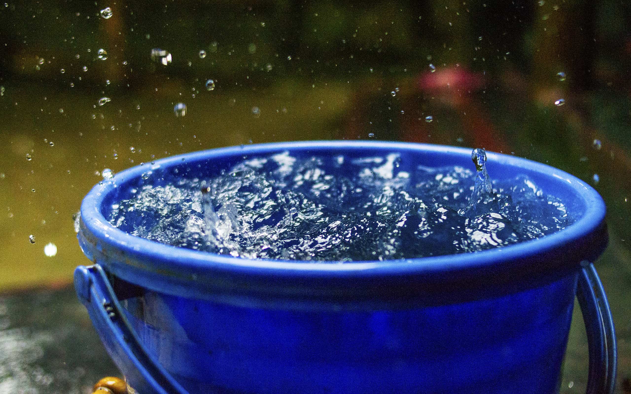 nature,rain,raindrop on a bucket