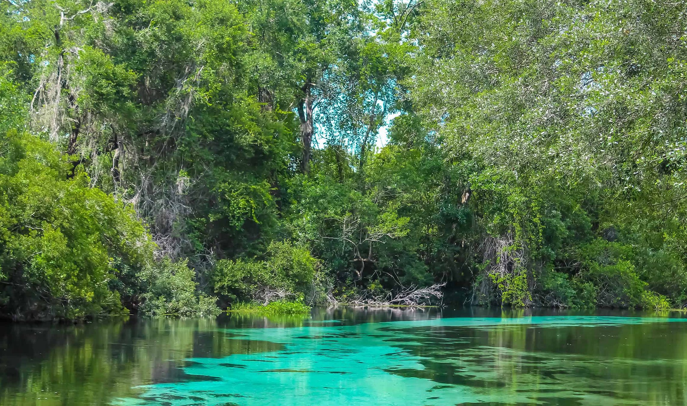 Weeki Wachee Springs State Park Camping