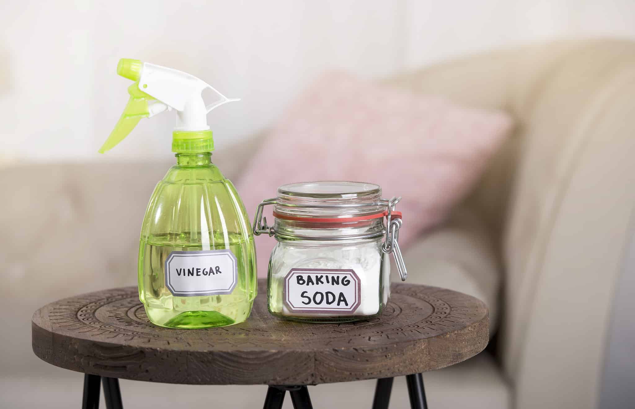 Image showcasing The Most Effective Homemade Natural Dog Repellent For Gardens - A-Z Animals