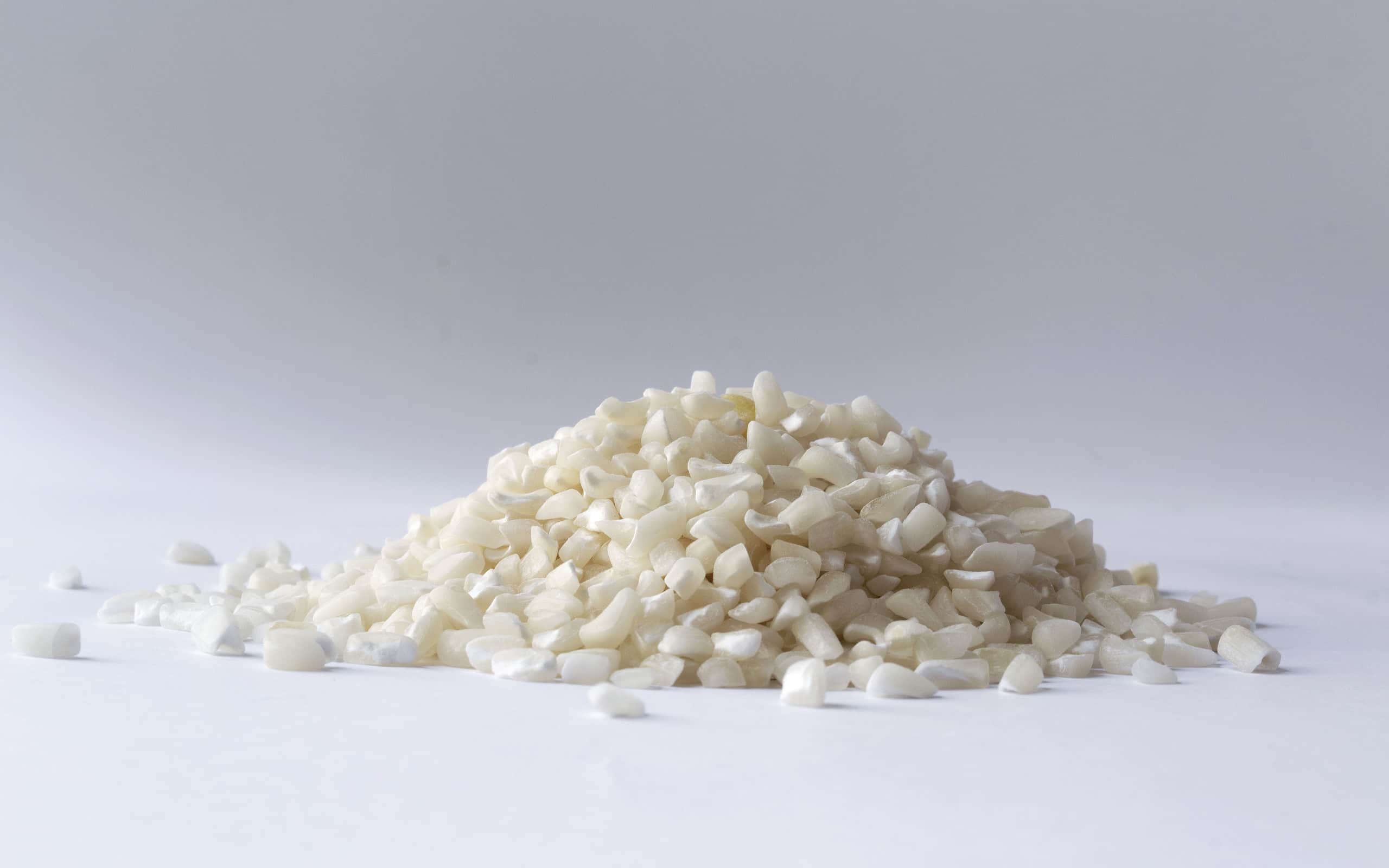 Seneca White- variety of flour corn