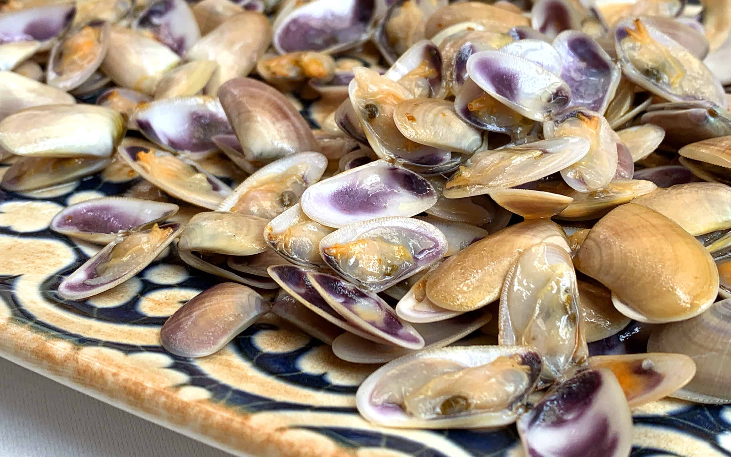 A plate of little clams with lemon, a typical spanish tapa called tellinas or coquinas