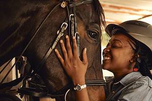 What Is Equine Therapy? The Special Connection Between Horses and Healing Picture