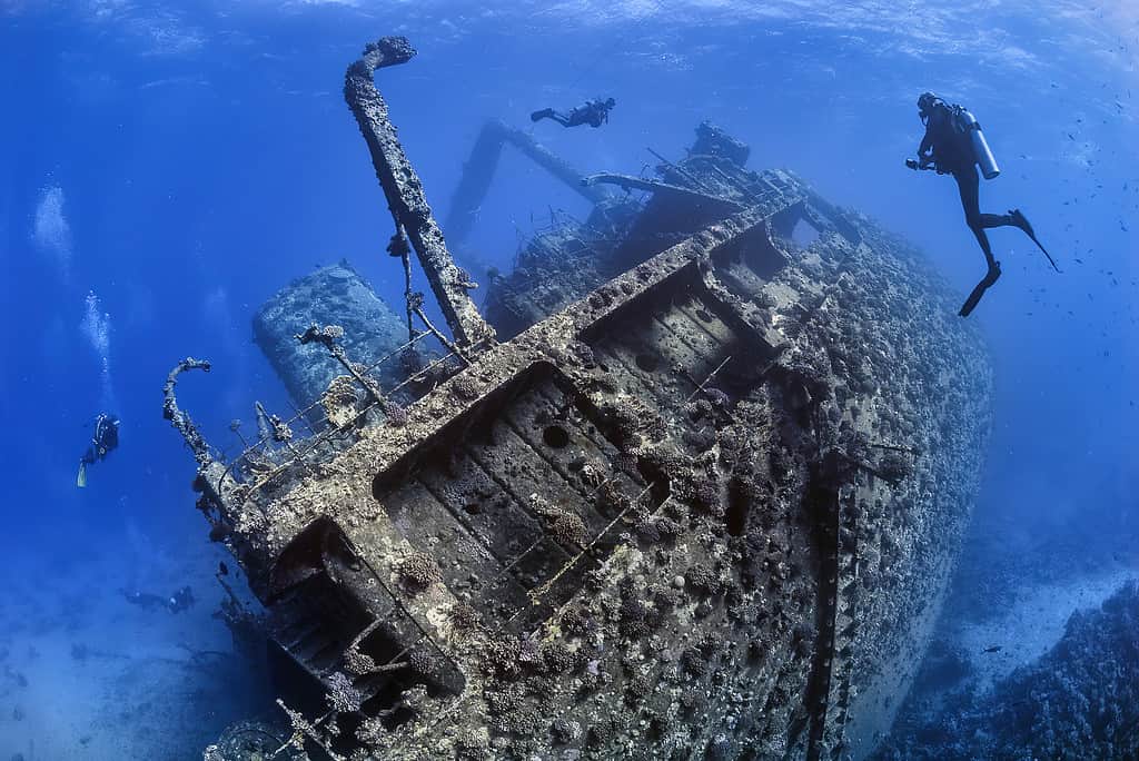 Ghianis D wreck in the Red Sea