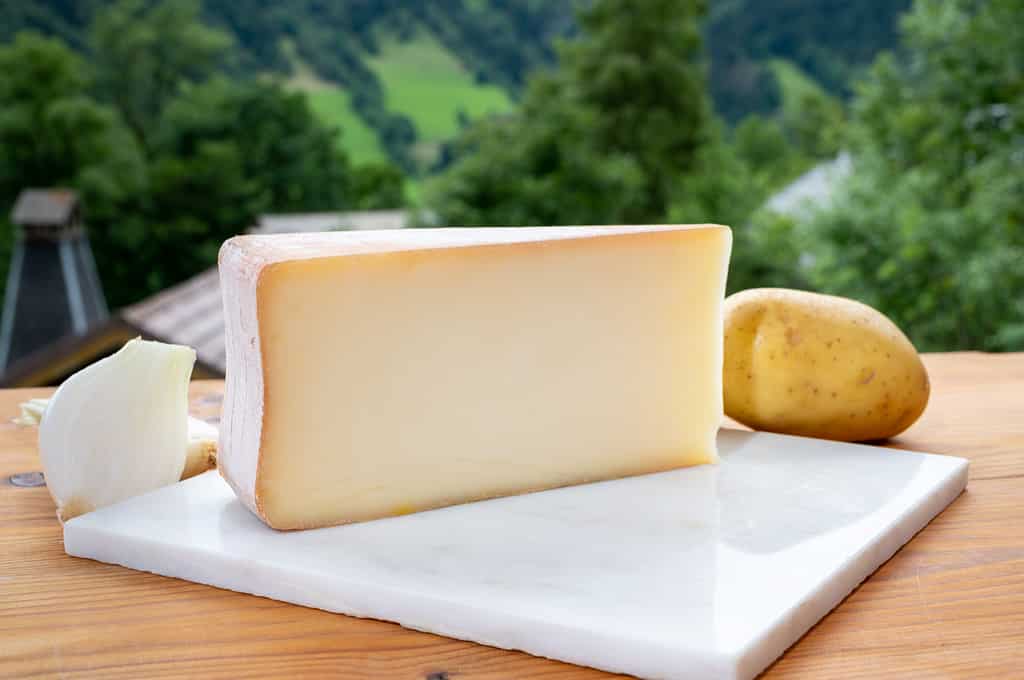 Tastes of Savoia, French cow cheese for gratin abondance, potatoes and french mountains village in Haute-Savoie on background