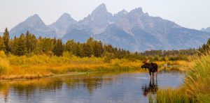 The 15 Most Fun and Interesting Wyoming Facts You Didn’t Know Picture