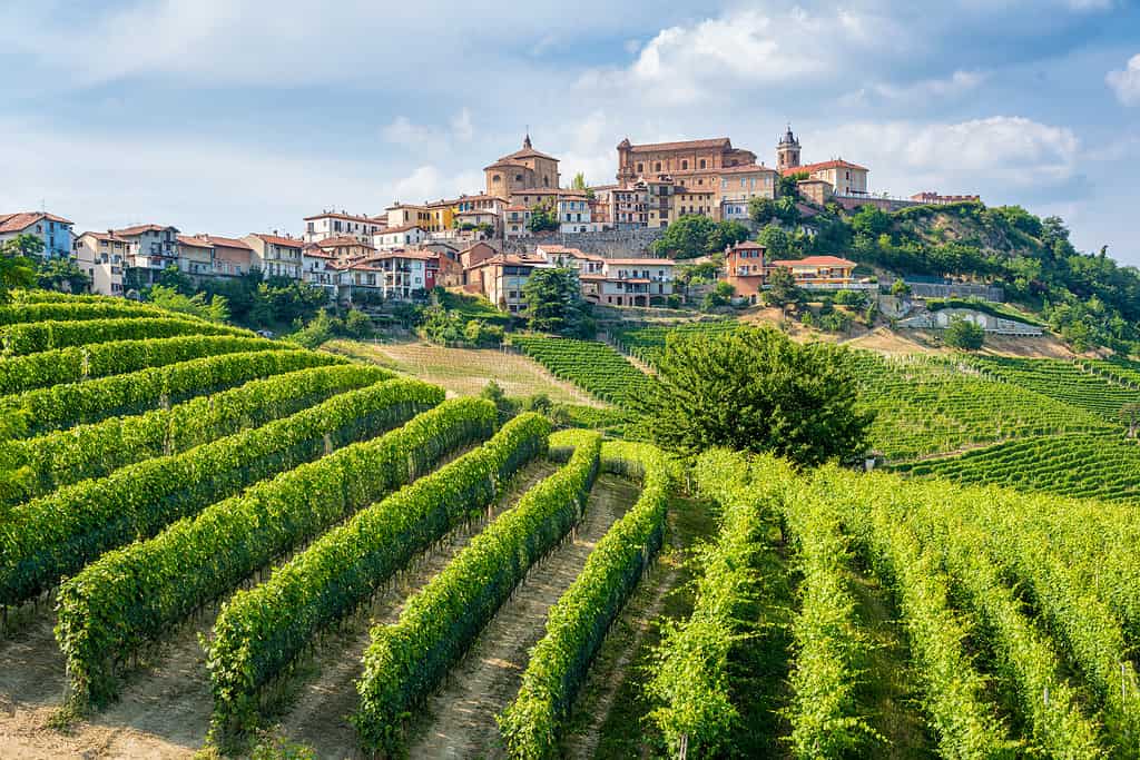 The beautiful village of La Morra and its vineyards in the Langhe region of Piedmont, Italy.