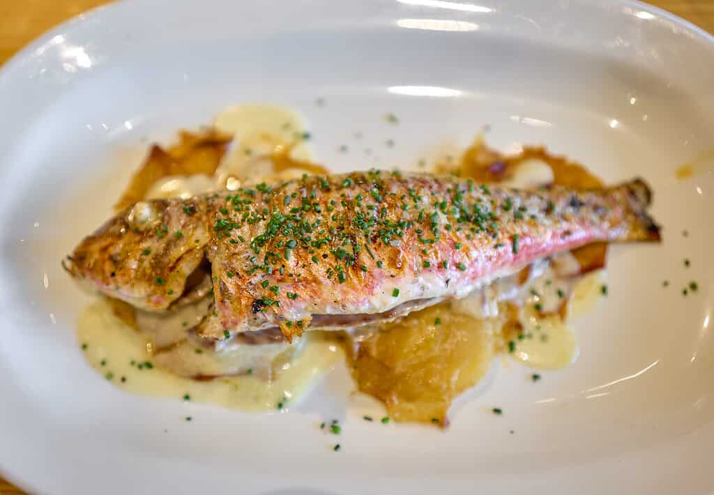 Grilled Red Mullet serverd over baked potatoes and dressing with chives.