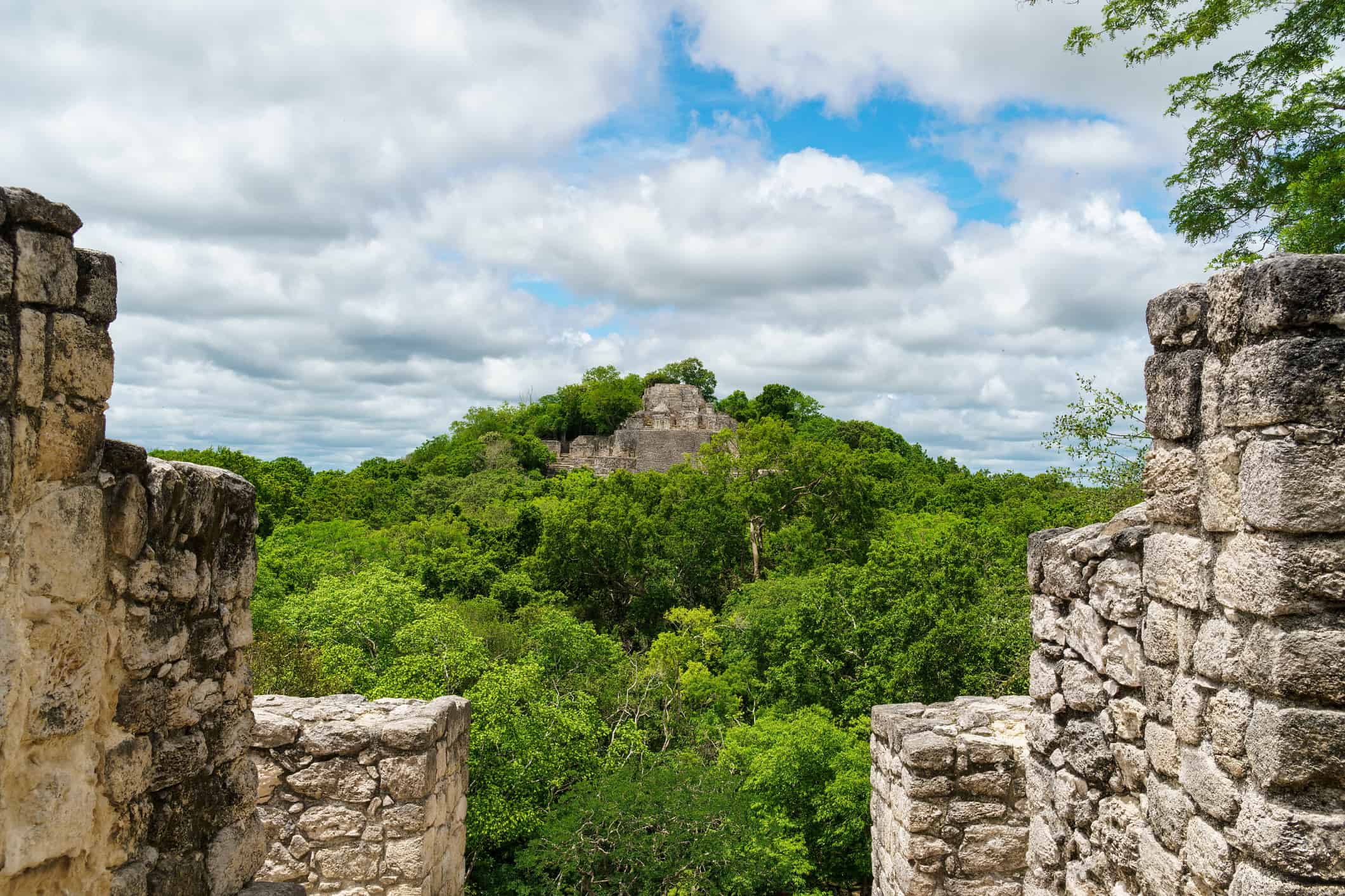 Calakmul ruins above the trees viewed through stone walls