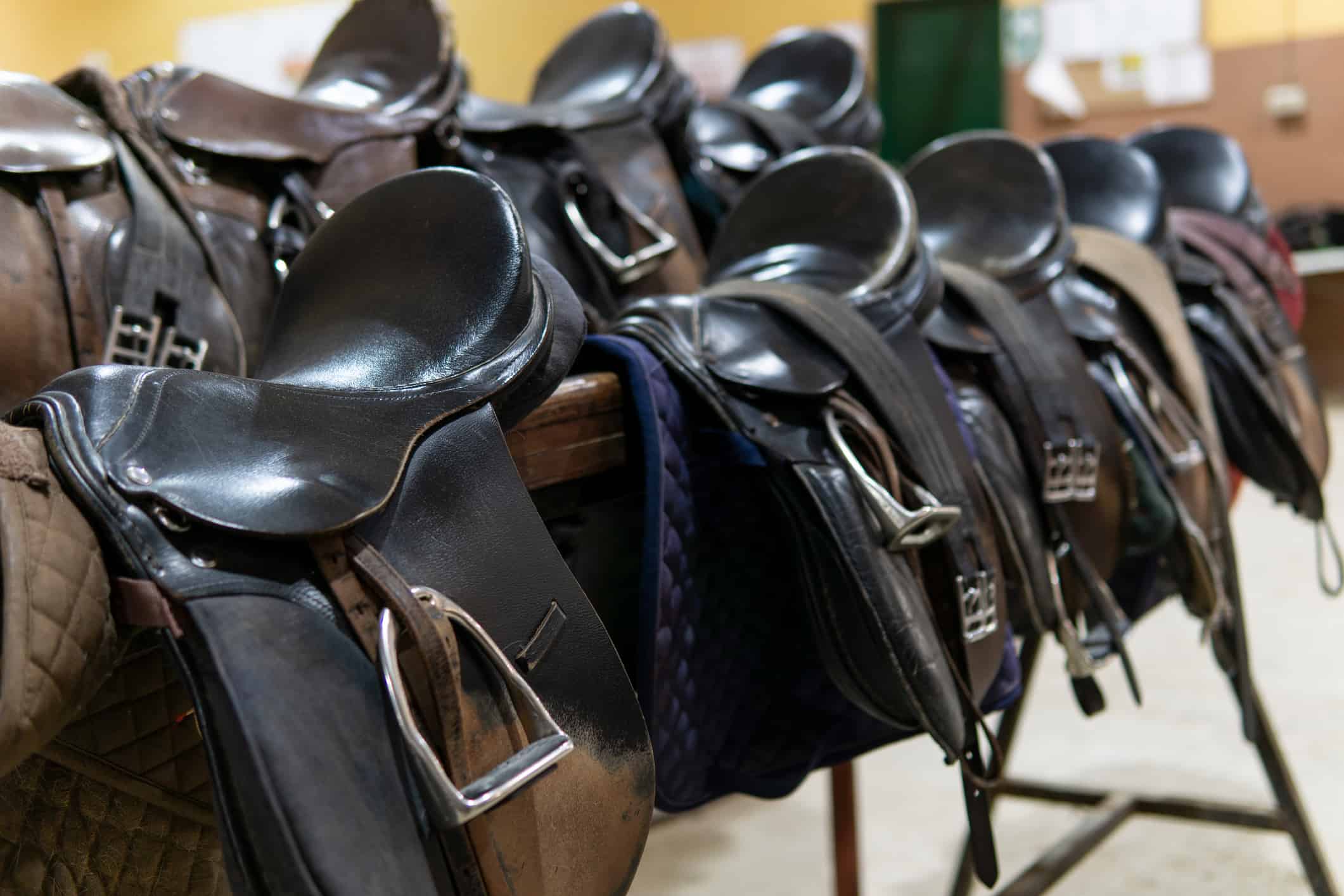 Close up of several horse saddles in a stable