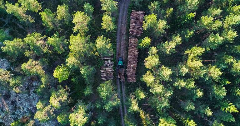 Lumber Industry, Timber, Forest, Agriculture, Dusk