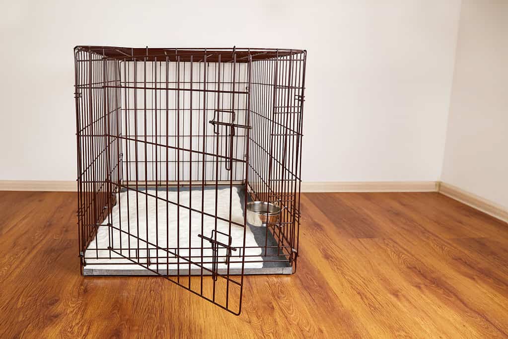 An empty pet cage in the apartment.