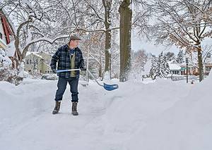 12 Critical Yard Care Tips You Need to Follow in January Picture