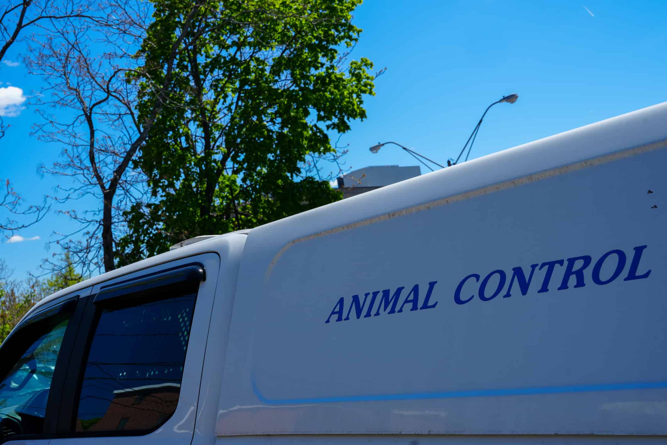 Animal control car
