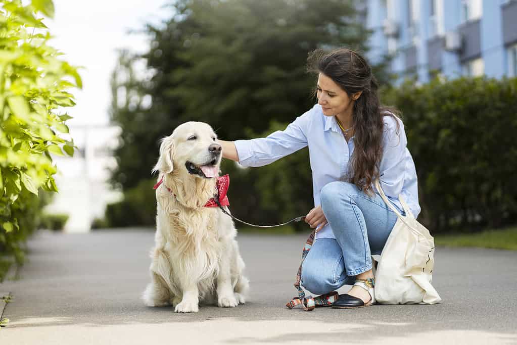 Smiling latin woman stroking her beloved golden retriever dog on street pet care concept