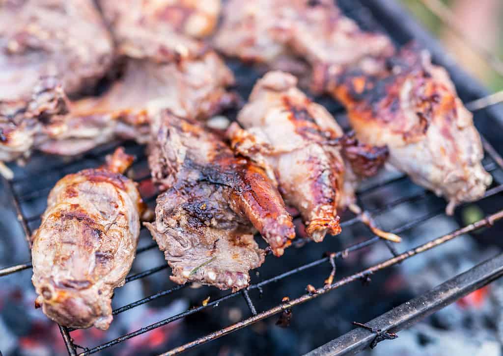 Nutria meat on grill.