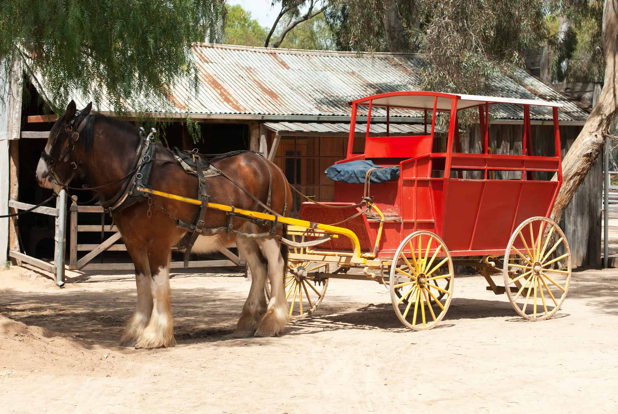 Stage Coach and Clydesdale Draught Horse