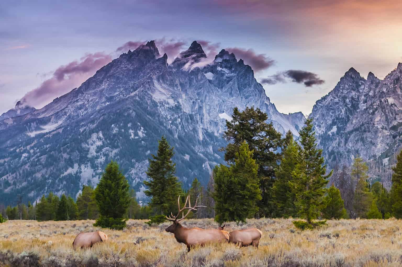 10 Mind-Blowing Facts About the Rocky Mountains - A-Z Animals