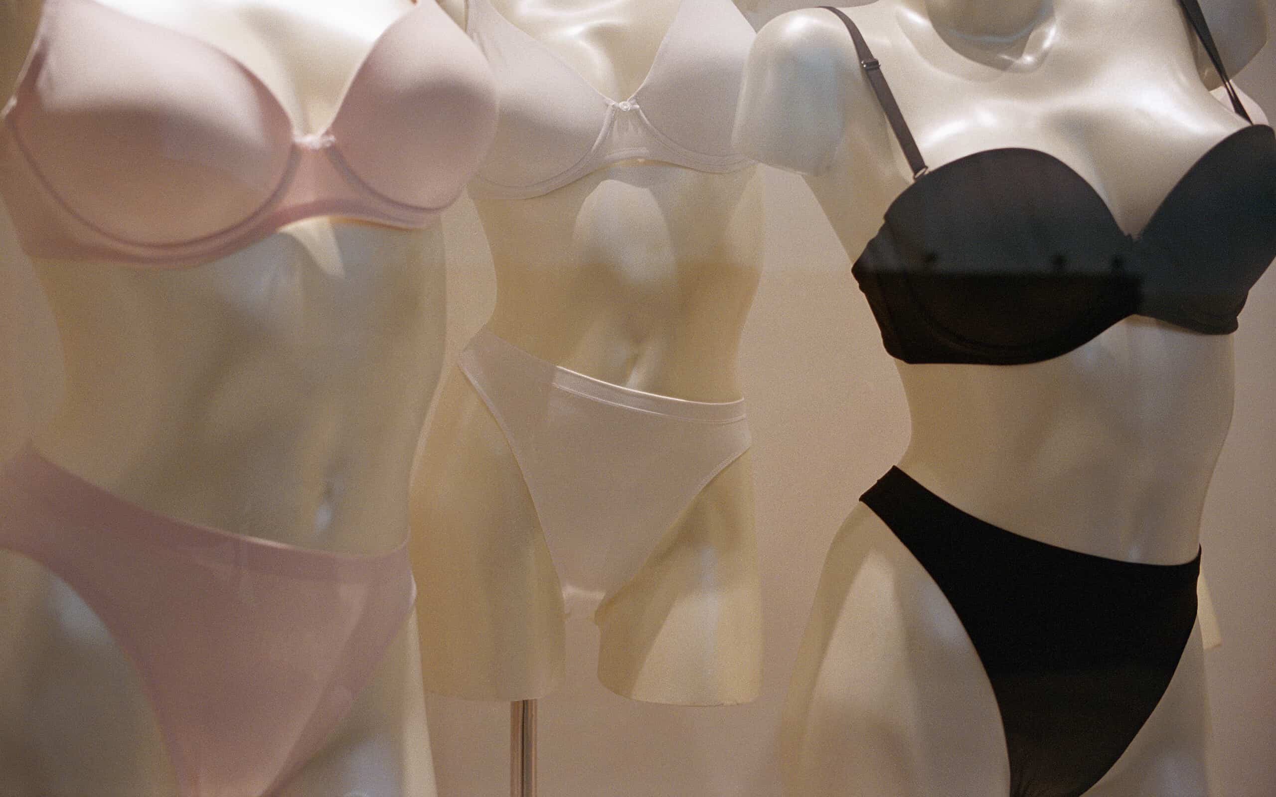 Mannequin wearing bra and panties, close-up