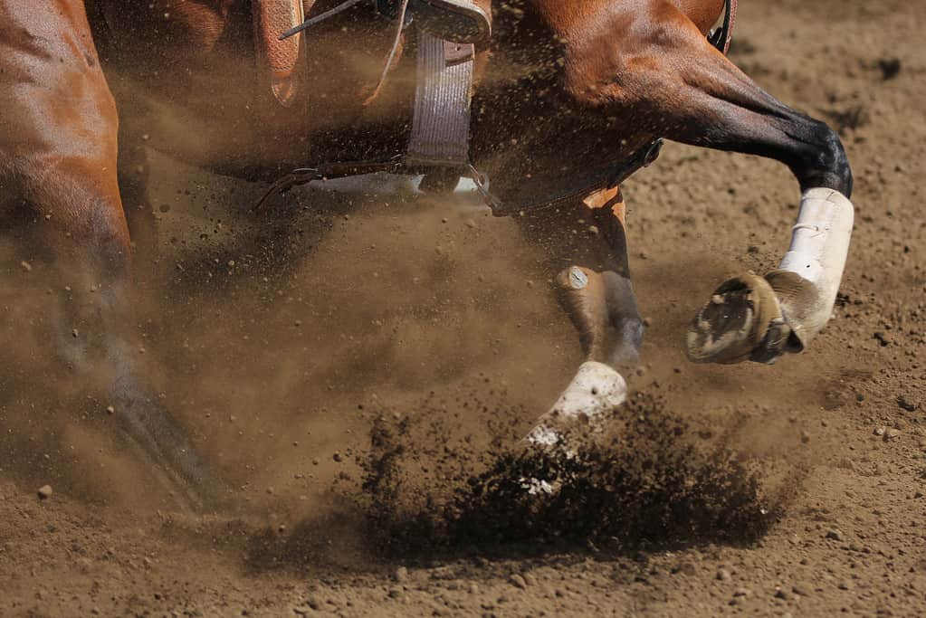 Close up view of a sliding barrel racing horse.
