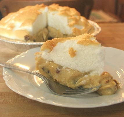 Homemade Sour Cream Raisin Pie in Iowa