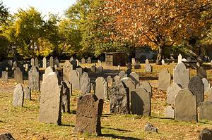 The 10 Largest Cemeteries in the World Picture