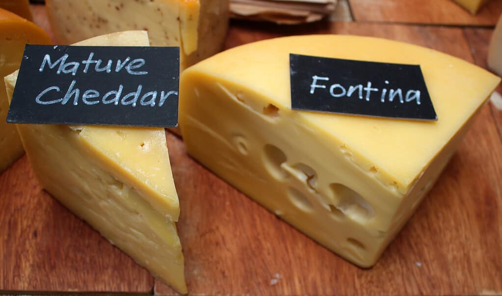 Mature Chedder Cheese - stock image