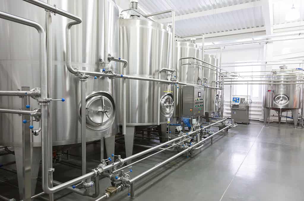 The bacterium Geobacillus stearothermophil is used to test stainless steel in dairy production.