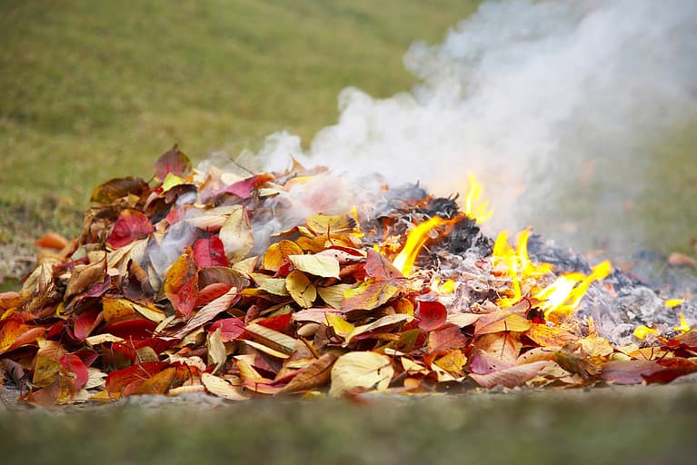 Bonfire