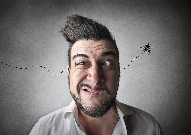 How can you tell if there is a bug in your ear?