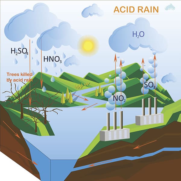 Is There Acid Rain in Ohio? Fact or Fiction? - A-Z Animals