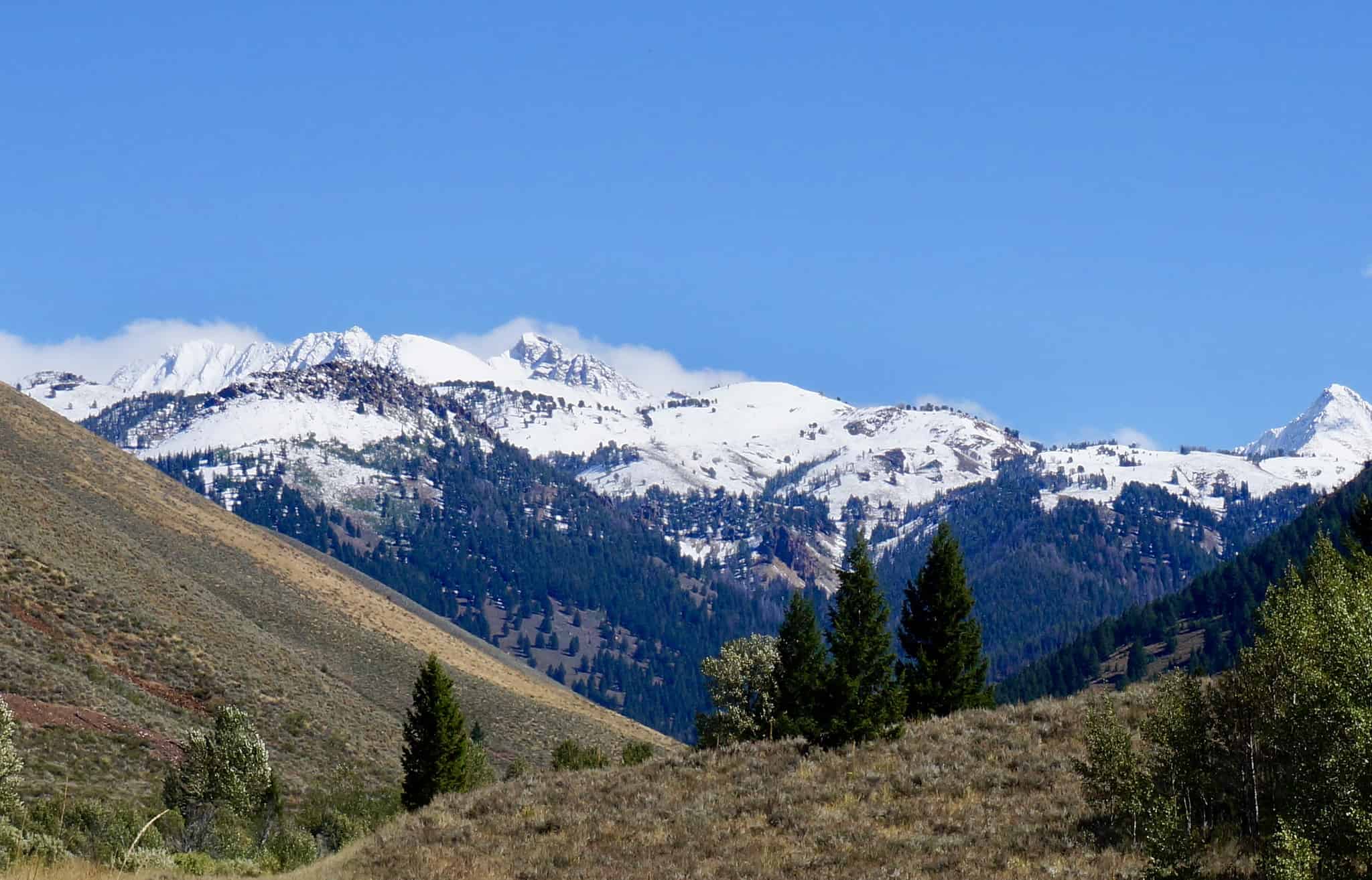 The 5 Most Expensive Mountain Towns in Idaho AZ Animals