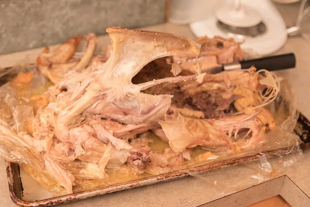 The bones of a holiday turkey dinner