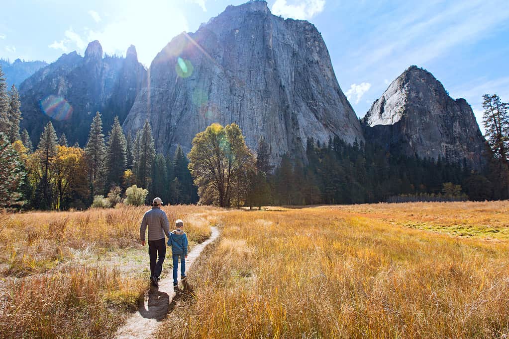Hiking, Family, Yosemite National Park, California, Mountain