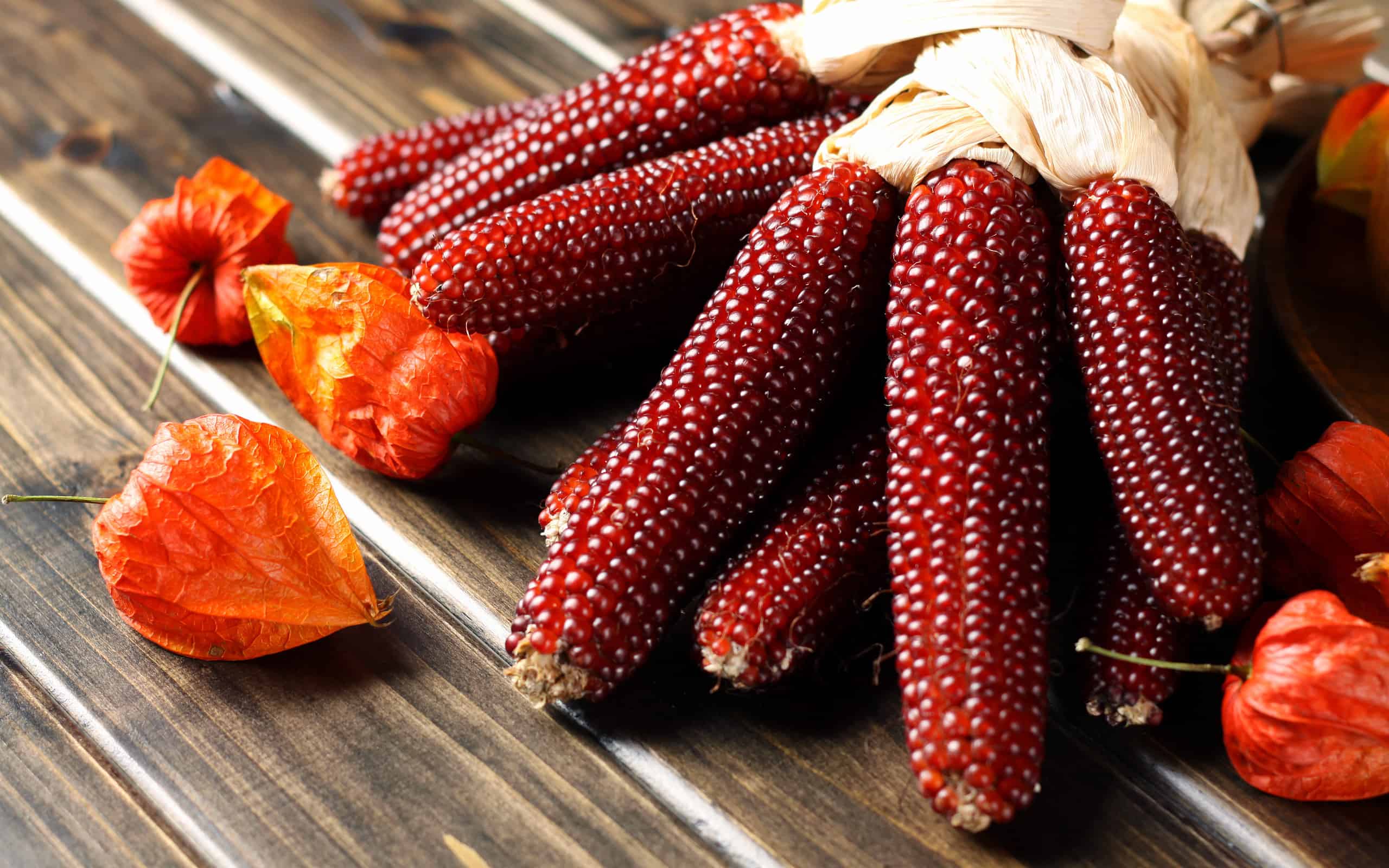 COLORFUL CLOSE UP OF HANGING RED CORN COBS