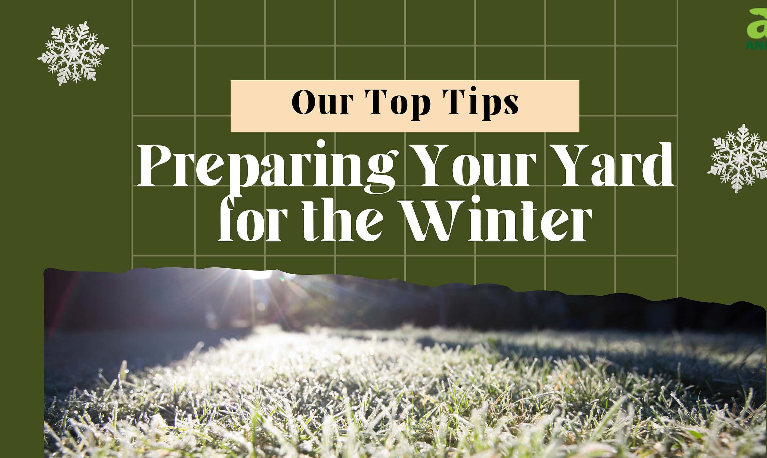 Winter Yard Tips