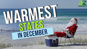 These Are the Warmest States In December Picture