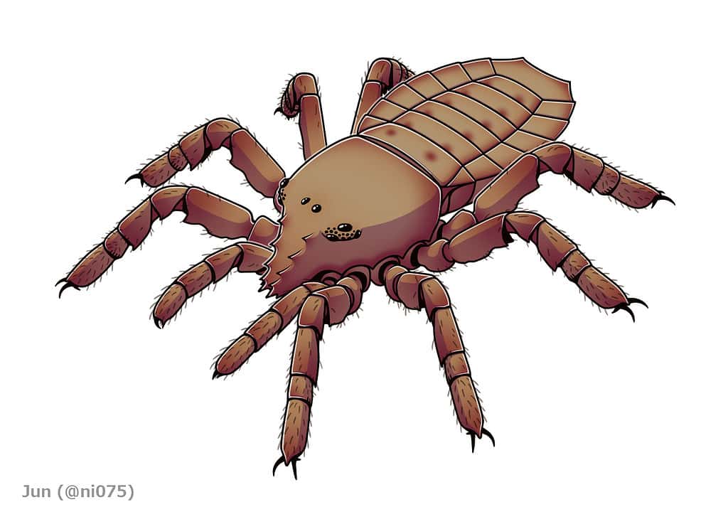 Palaeocharinus rhyniensis was one of the oldest arthropods to live on land.