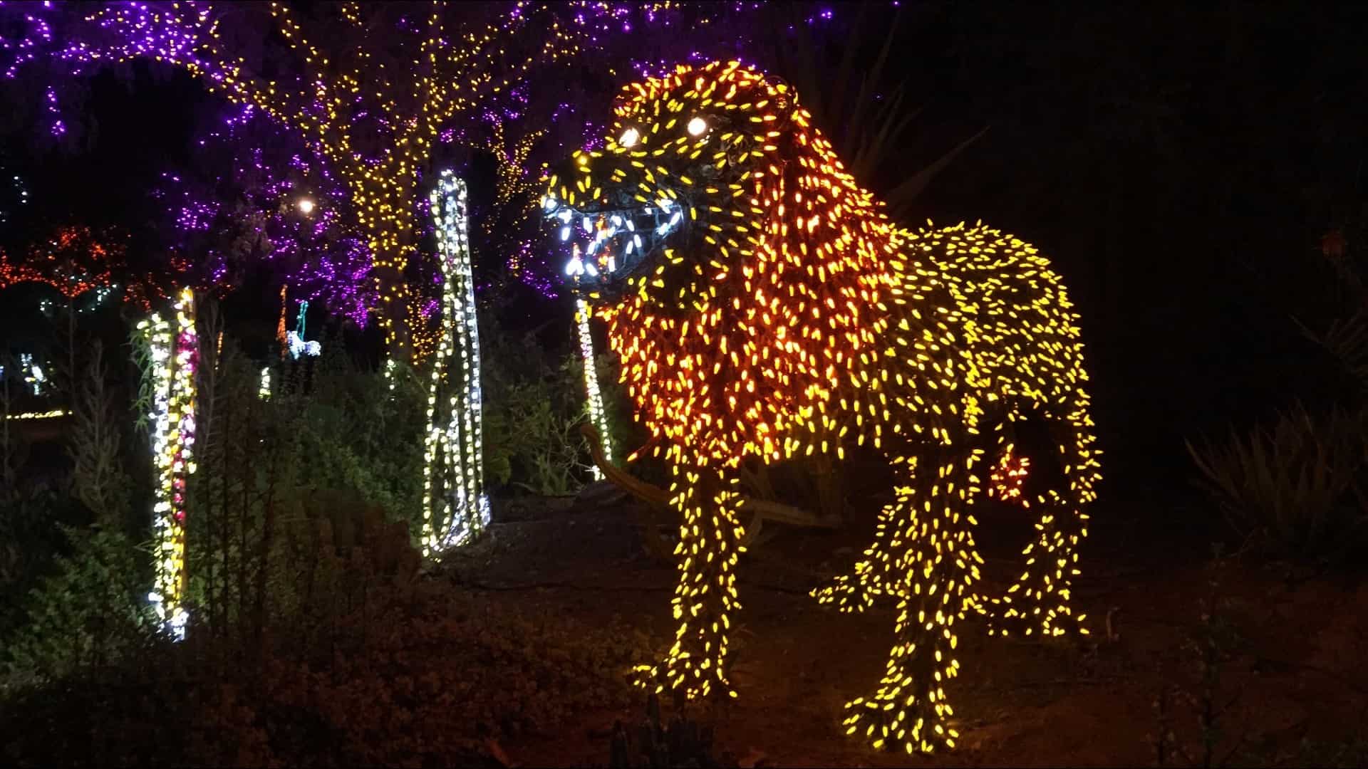 Phoenix Zoo Lights