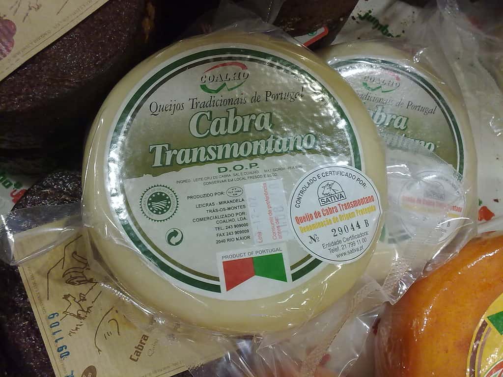 Transmontano goat cheese