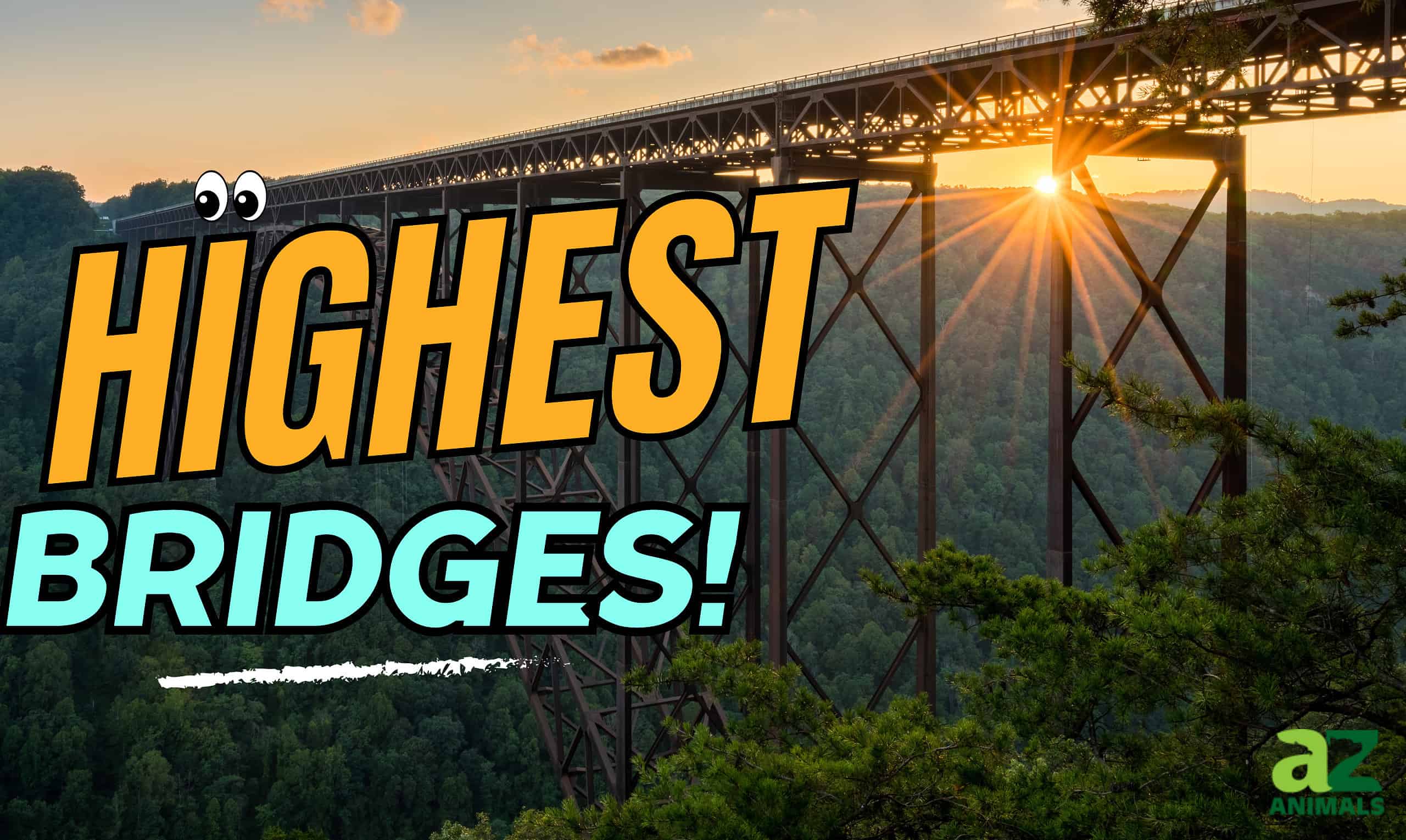 Highest Bridges