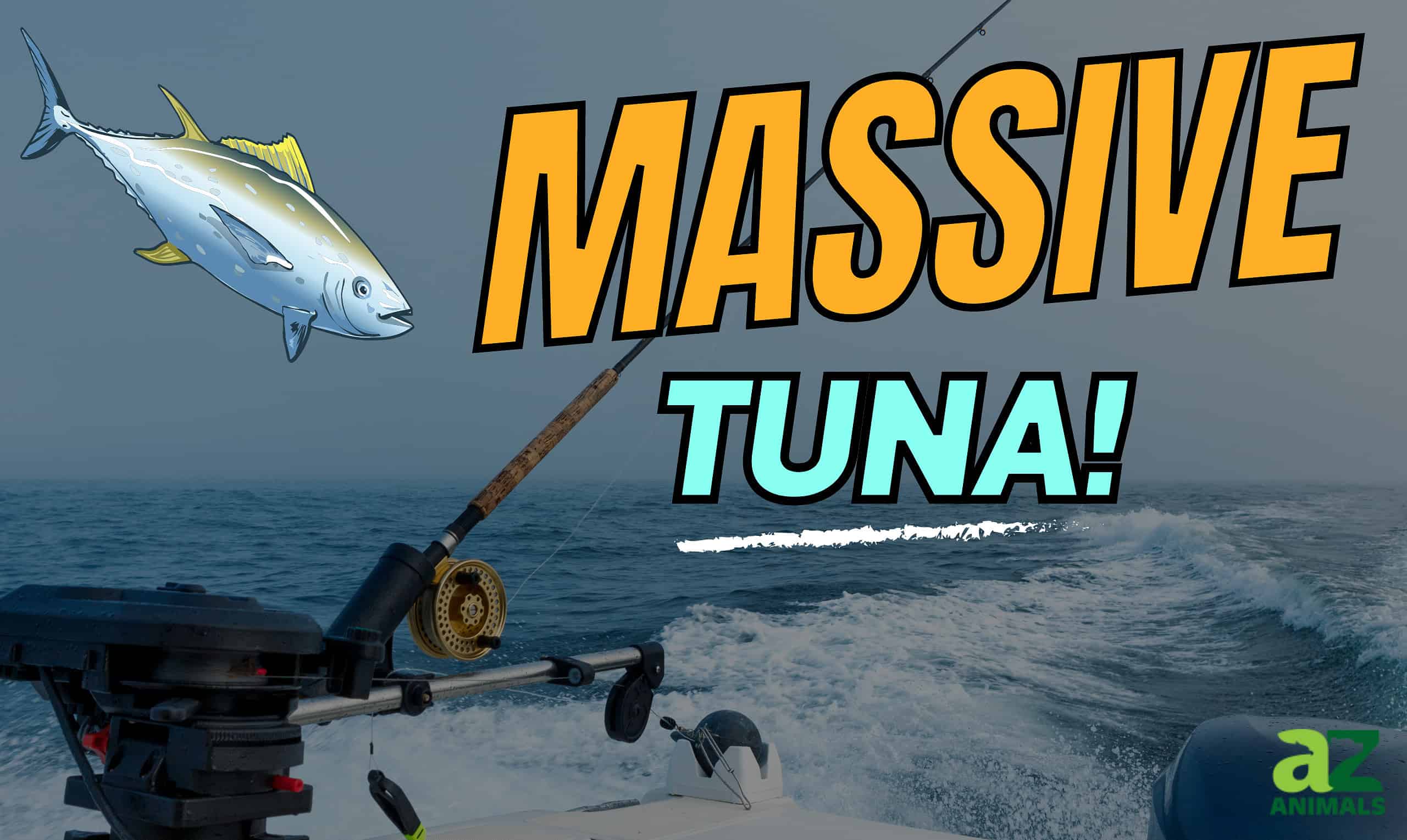 Massive Tuna