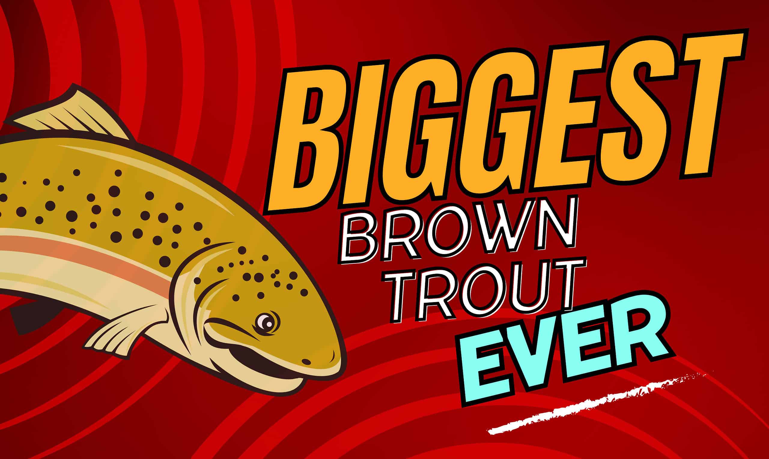 The Largest Brown Trout Ever Caught - A-Z Animals